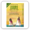משפחה במשפט 