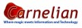 Carnelian - Integrated CI & IT Solutions